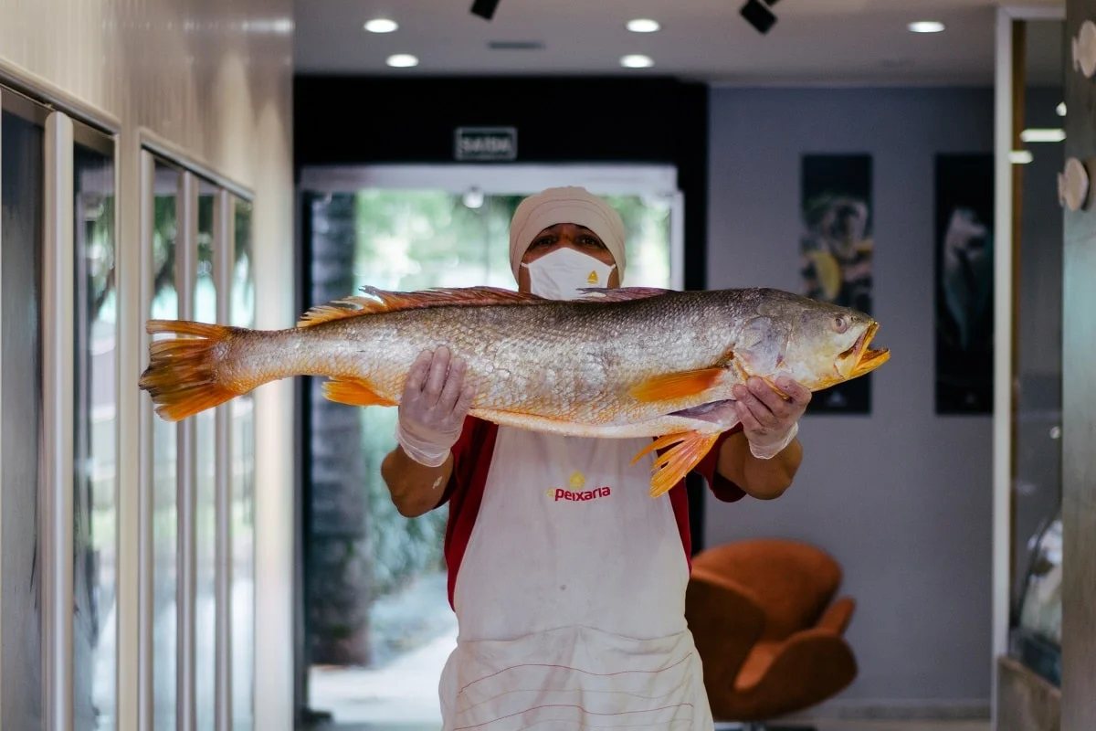Interior da loja conceito da A Peixaria na Asa Sul, com atendente exibindo um pescado
