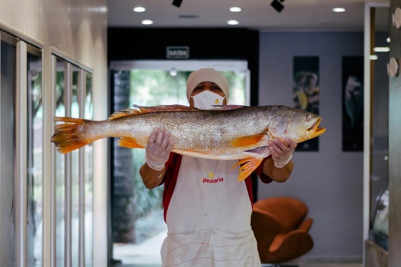 Interior da loja conceito da A Peixaria na Asa Sul, com atendente exibindo um pescado inteiro