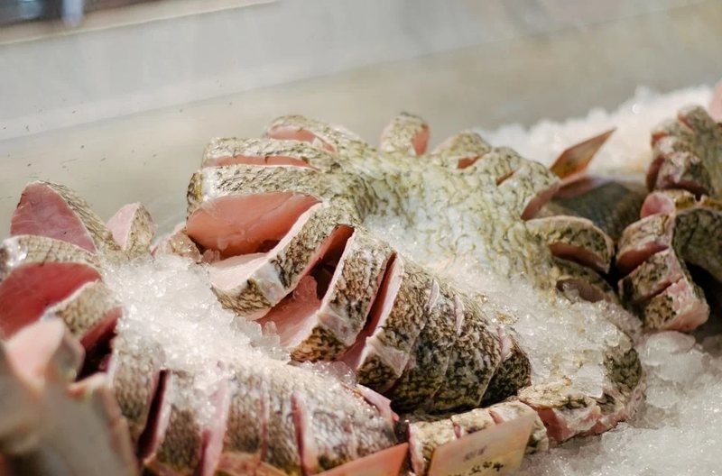 Postas de peixe fresco cortadas e dispostas sobre gelo